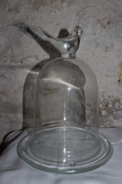 Cloche verre avec oiseau